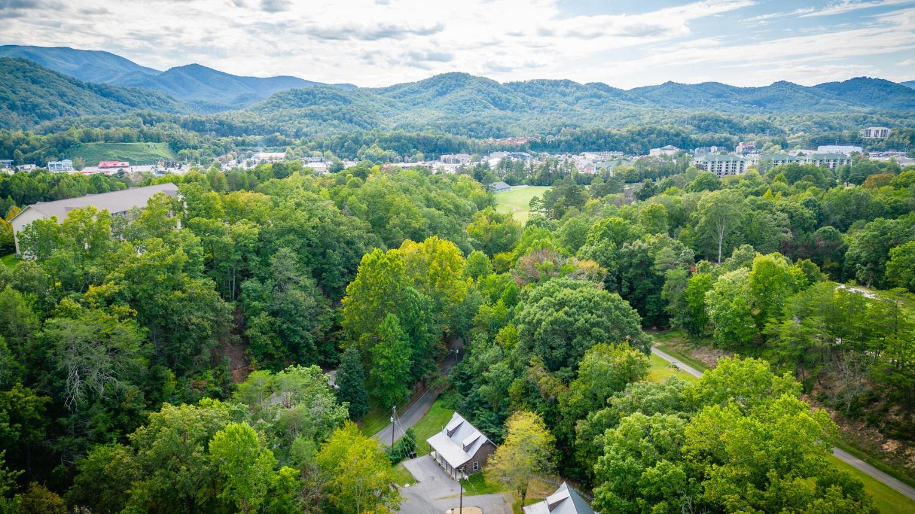 Bear Clubhouse Hot Tub, 1Mile From The Parkway, 900 In Free Tickets! Villa Pigeon Forge Exteriör bild